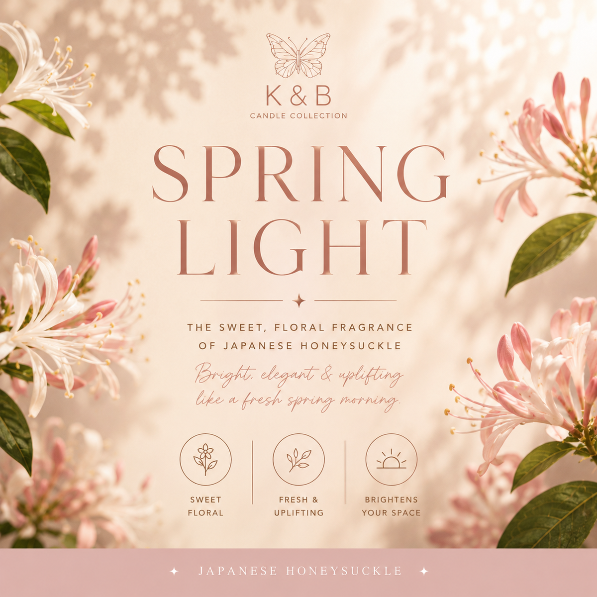🌸 Spring Light Collection