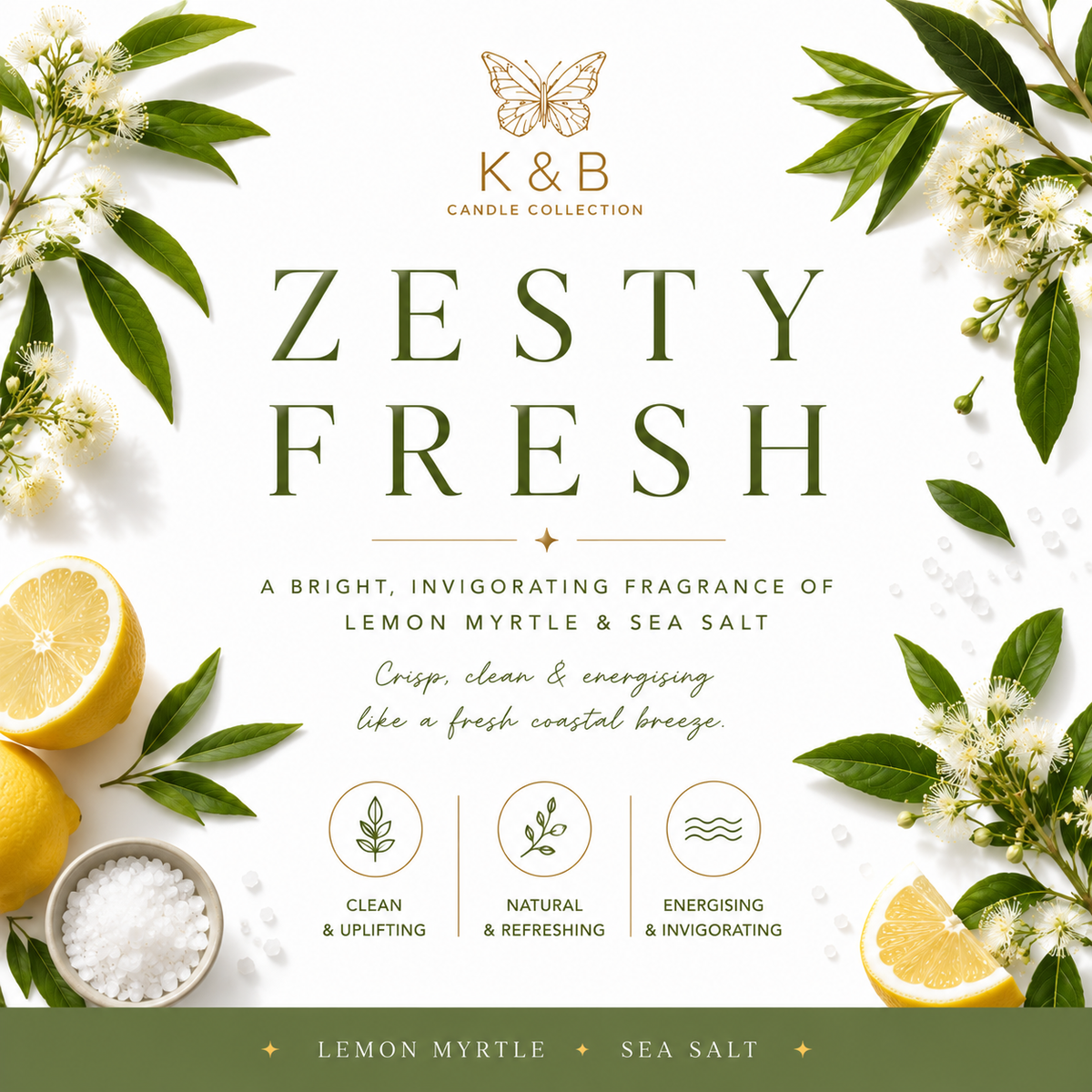 🍋 Zesty Fresh Collection